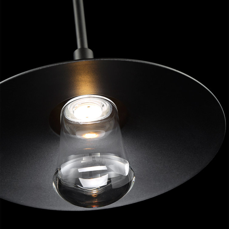 Black Mouth Blown Glass LED Indoor/Outdoor Pendant Light