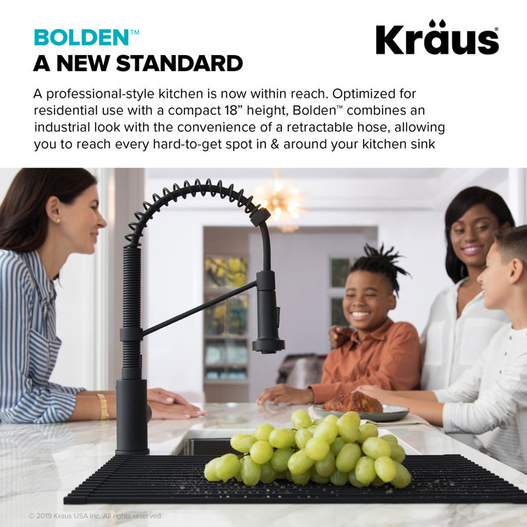 Matte Black Commercial Style Pull-Down Kitchen Faucet with Spray