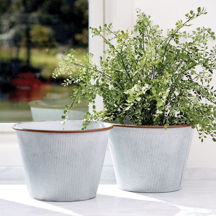 23" Green Faux Fern Drop-In with Paper Root Ball