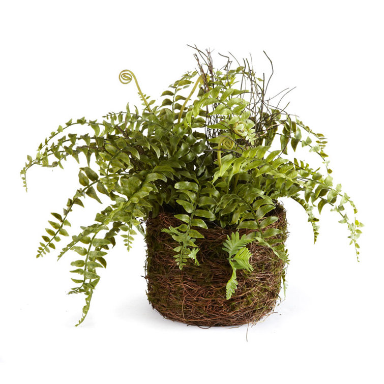 Rustic Green Artificial Fern Plant in Natural Pot