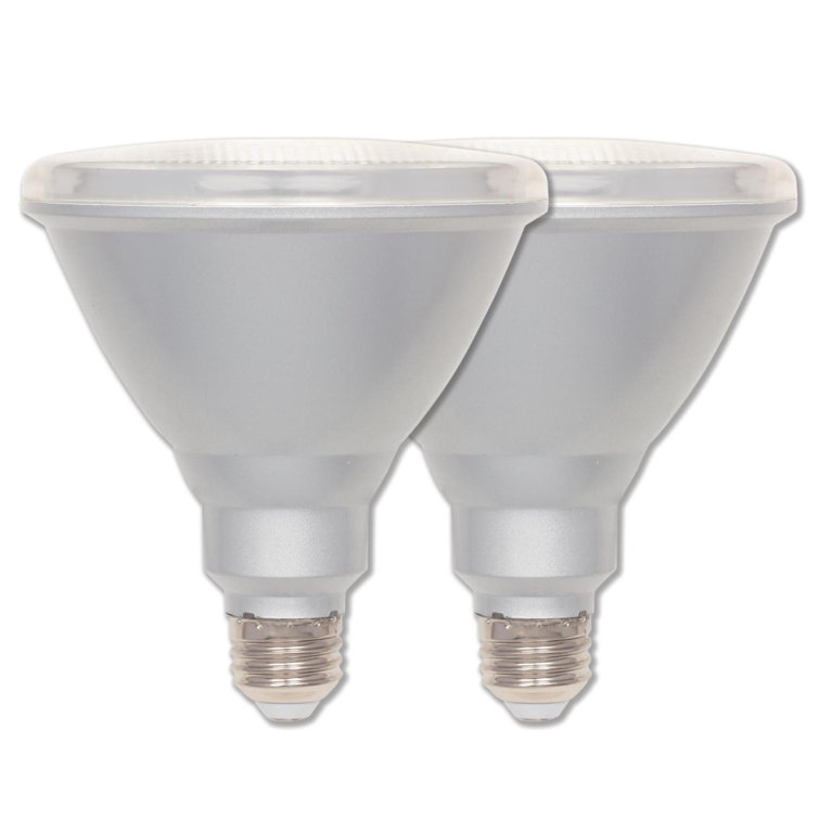 Clear Dimmable Energy Star PAR38 LED Flood Light Bulbs