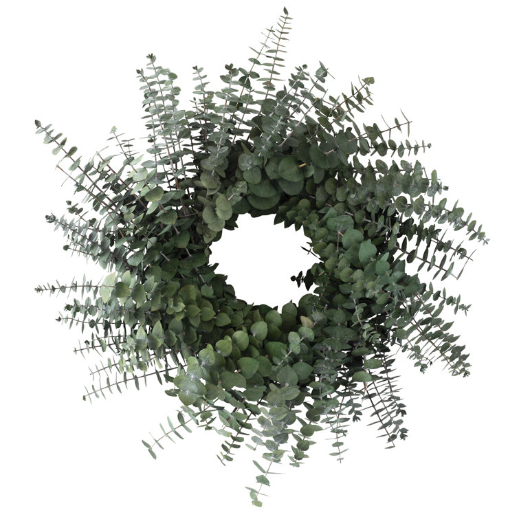 Handcrafted Preserved Green Eucalyptus 20" Circle Wreath