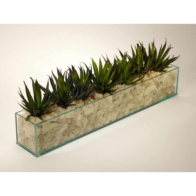 Long Clear Glass Planter with Green Artificial Agave Arrangement