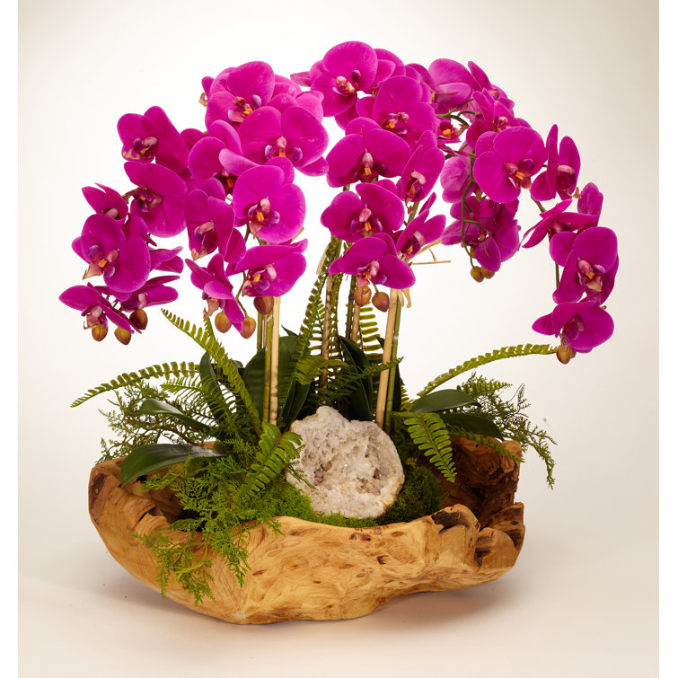 Fuchsia Orchid Centerpiece in Rustic Wooden Planter