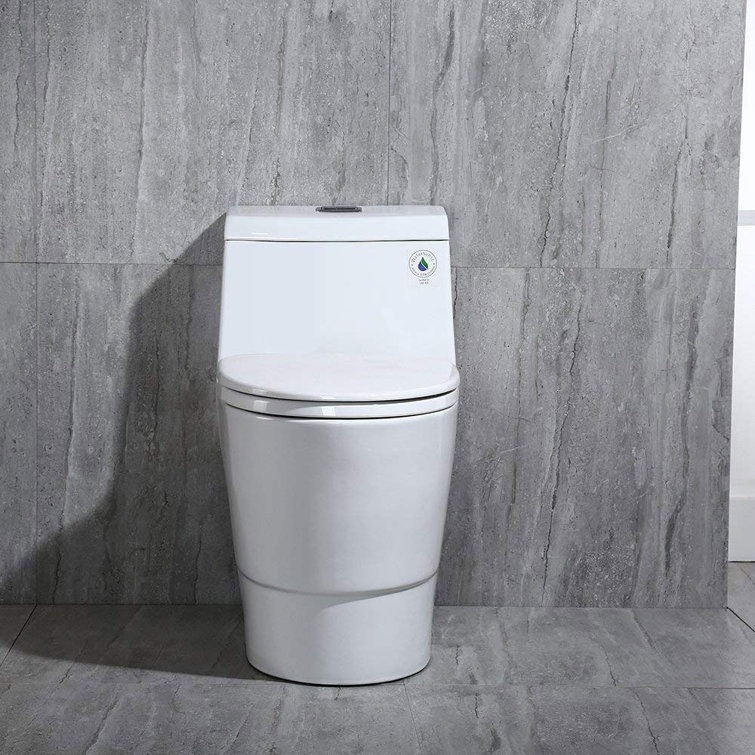 White Elongated One-Piece Dual Flush Toilet with Chrome Button