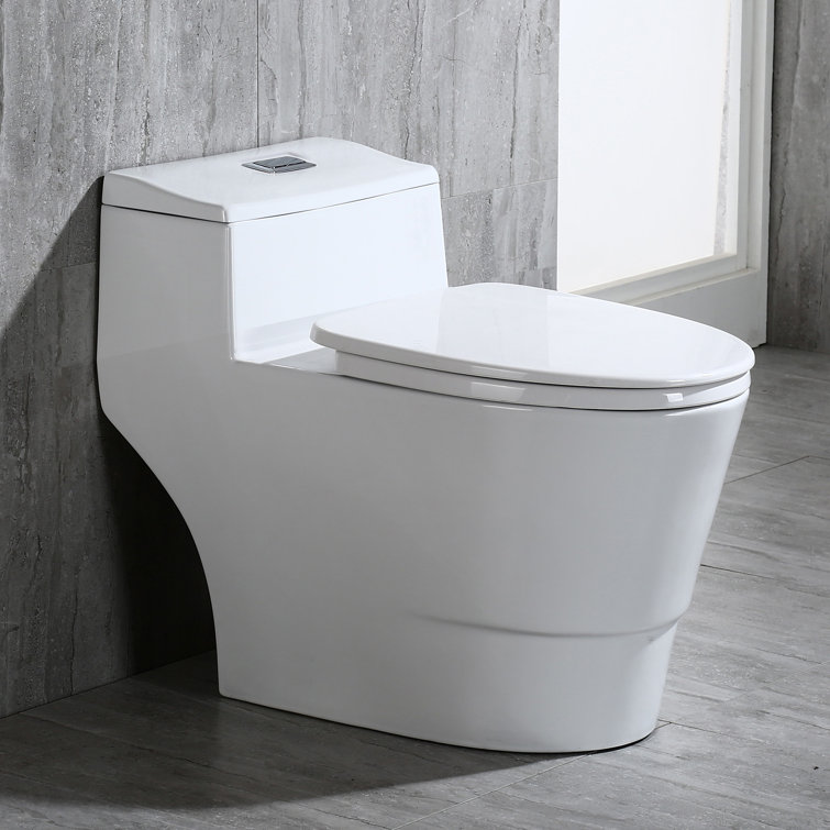 White Elongated One-Piece Dual Flush Toilet with Chrome Button