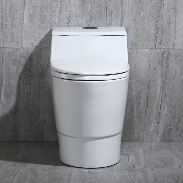 White Elongated One-Piece Dual Flush Toilet with Chrome Button