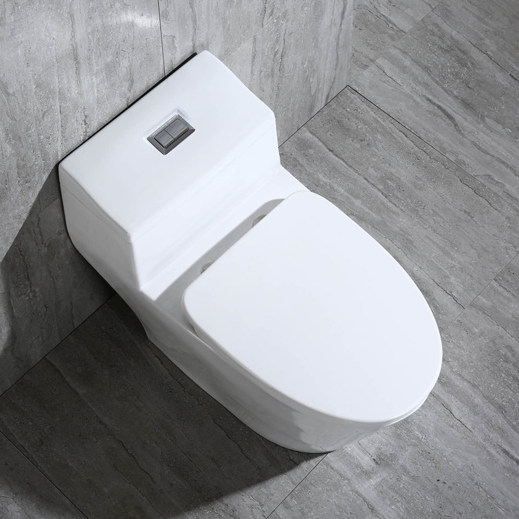 White Elongated One-Piece Dual Flush Toilet with Chrome Button