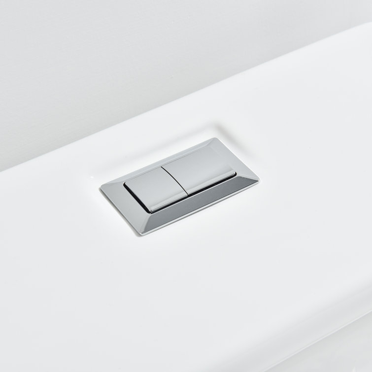 White Elongated One-Piece Dual Flush Toilet with Chrome Button