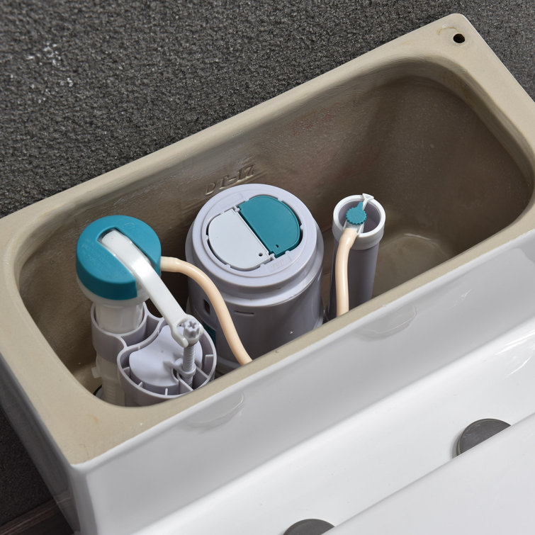 White Elongated One-Piece Dual Flush Toilet with Chrome Button