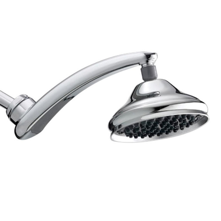 Waterpik Chrome Adjustable Rain Showerhead with 6-Inch Face