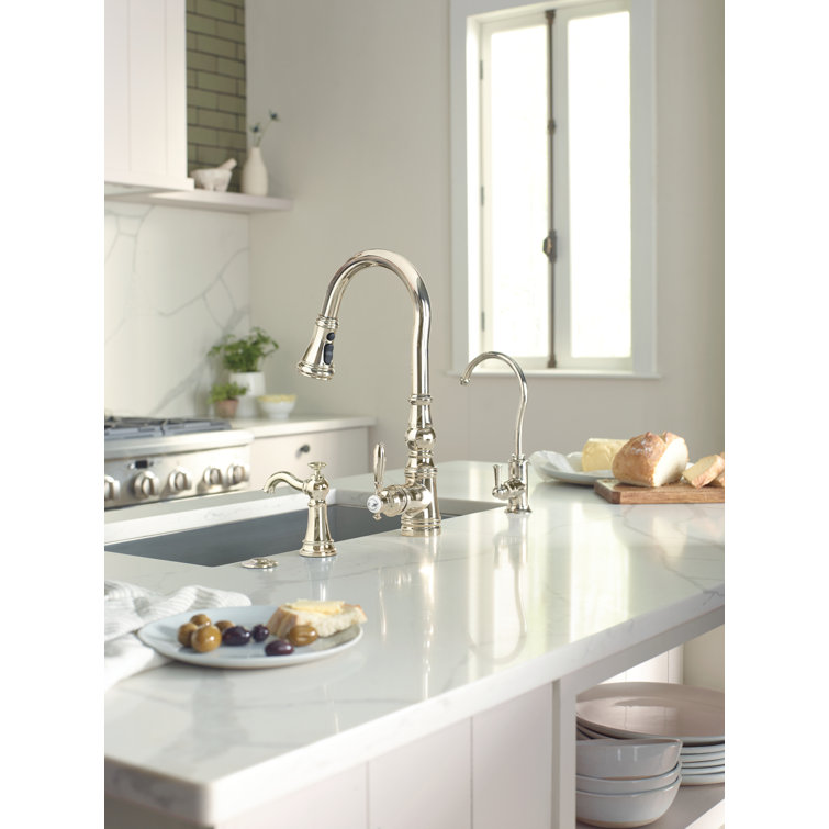 Polished Nickel Transitional Kitchen Faucet with Pull-out Spray