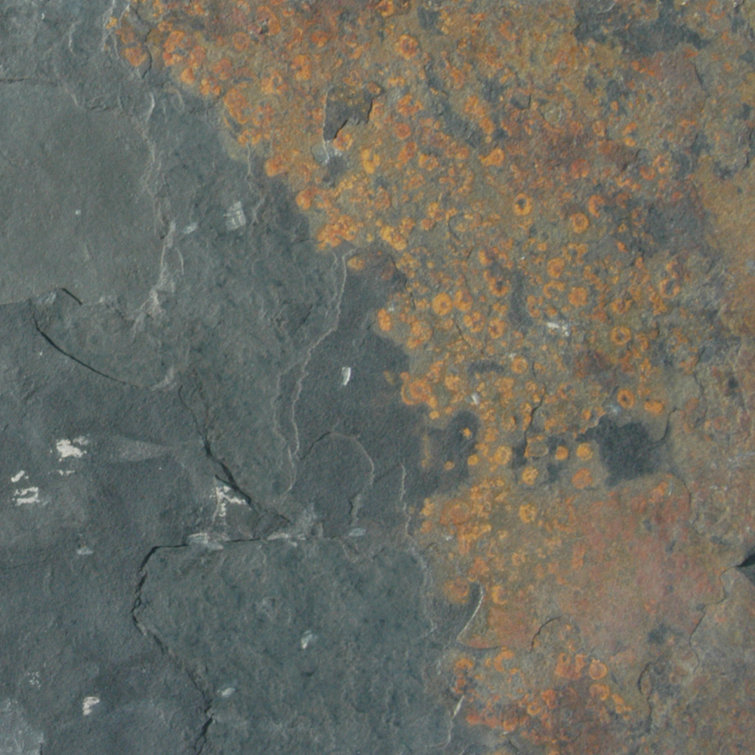 California 16'' x 16'' Slate Field Tile in Rustic Earth Tones