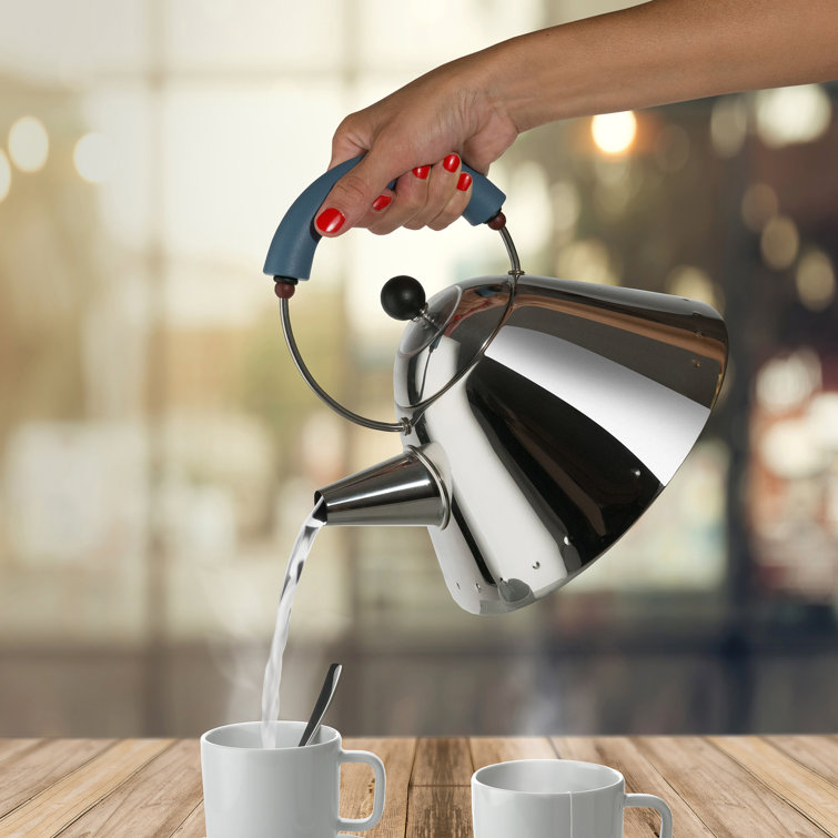 Light Blue Stainless Steel Whistling Kettle with Bird Whistle