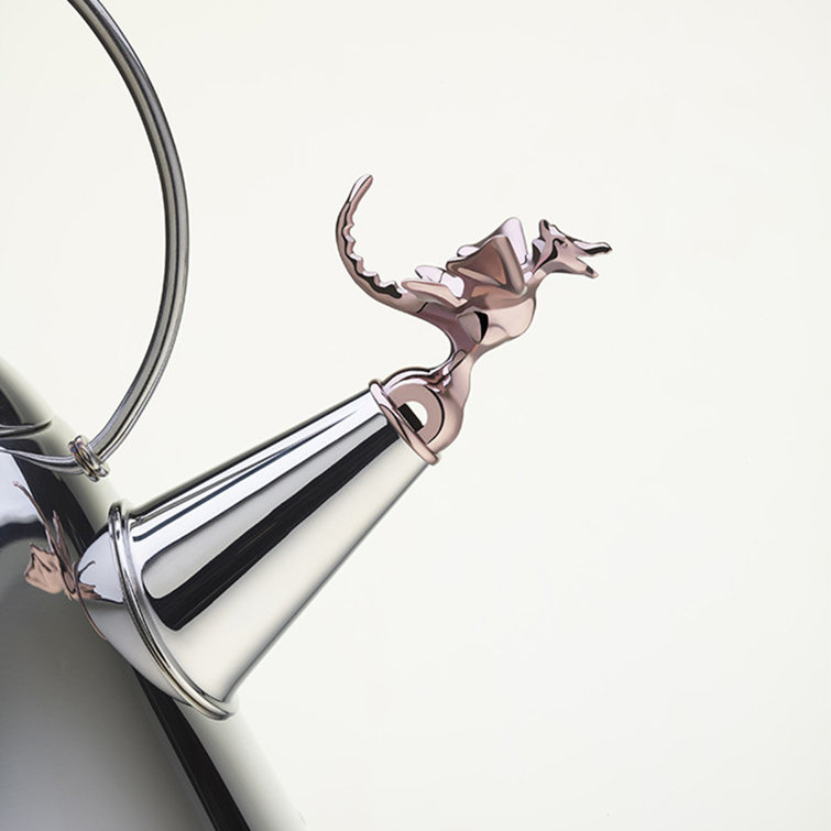 Stainless Steel Whistling Kettle with Black Handle and Dragon Whistle