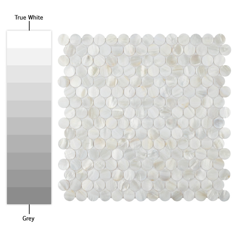 White Natural Shell Mosaic Wall Tile for Bathroom and Kitchen
