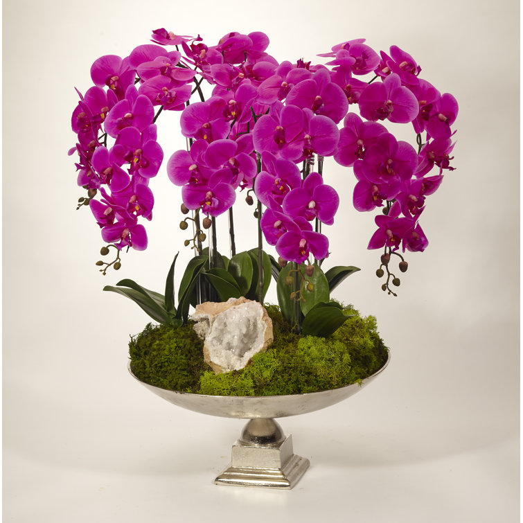 Fuchsia Phalaenopsis Orchid and Succulent Arrangement in Silver Tin Urn