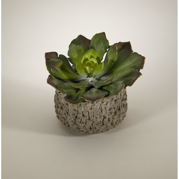 14" Green Silk Succulent in Rustic Gray Resin Planter