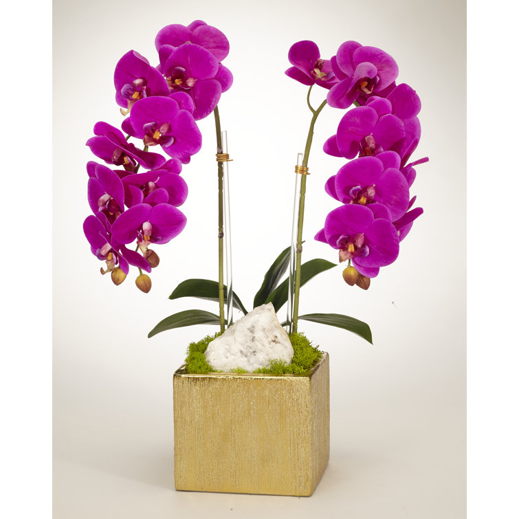 Elegant Green Orchid 21'' Floral Arrangement in Ceramic Planter