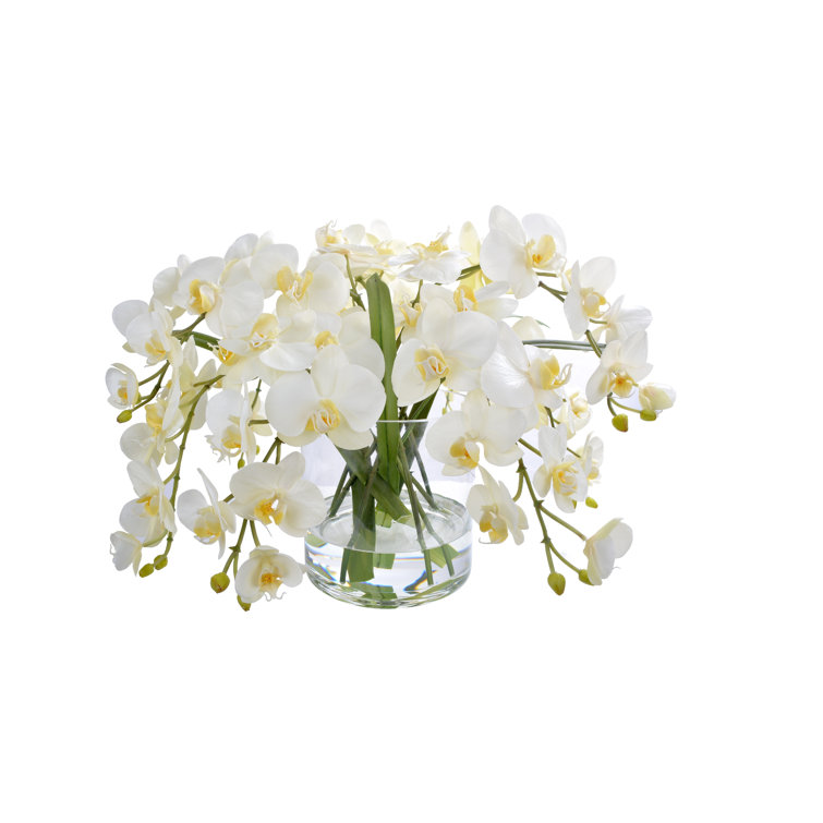 Elegant White Orchid in Glass Vase with Faux Water
