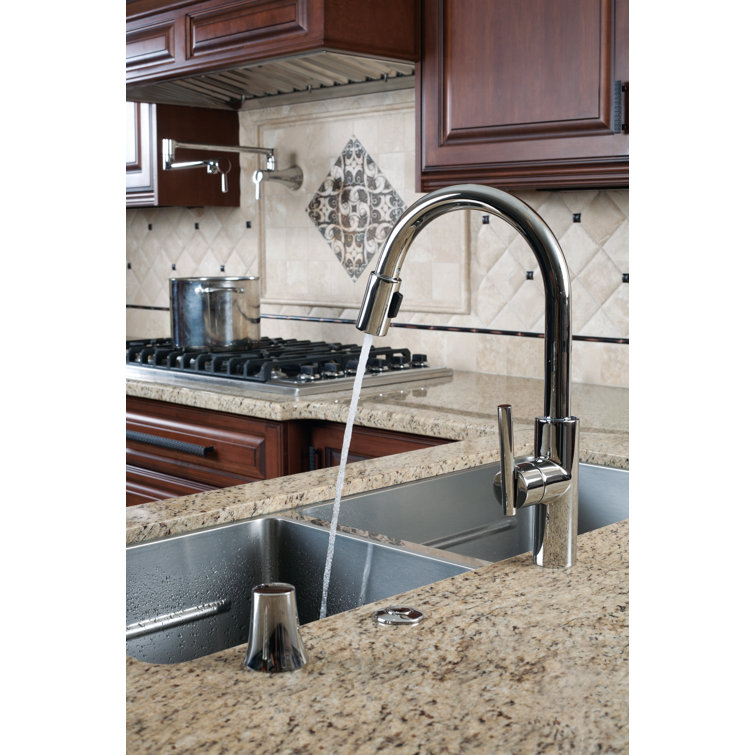 Polished Gold Single Handle Kitchen Faucet with Pull-out Spray