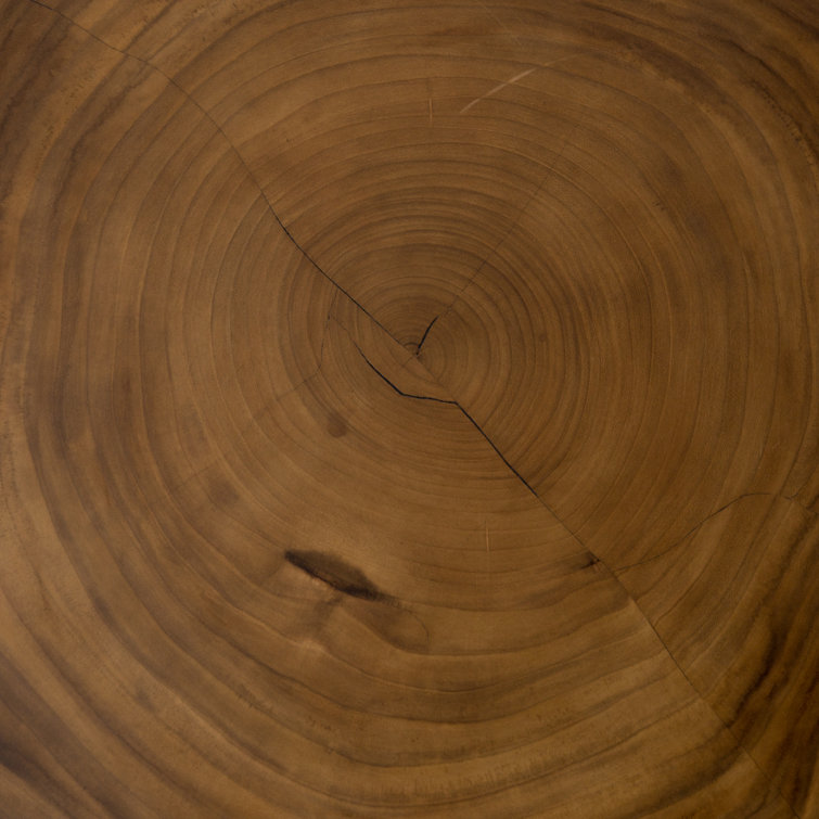 Modern Minimalist Round Blonde Guanacaste Wood & Bronze Metal Coffee Table