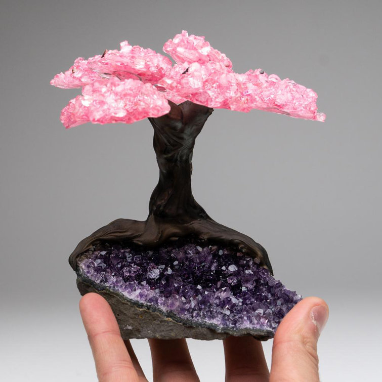 Medium Rose Quartz Gemstone Tree on Amethyst Matrix