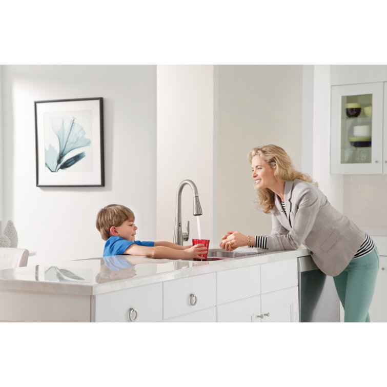 Stainless Steel Pull-Out Spray Kitchen Faucet with Single Handle