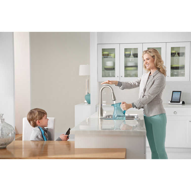 Stainless Steel Pull-Out Spray Kitchen Faucet with Single Handle