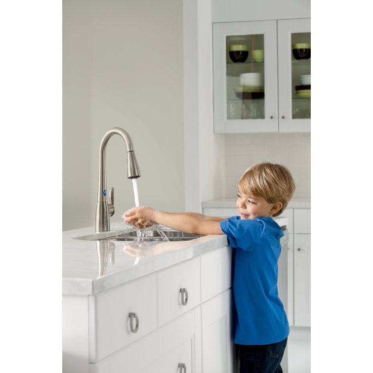 Stainless Steel Pull-Out Spray Kitchen Faucet with Single Handle