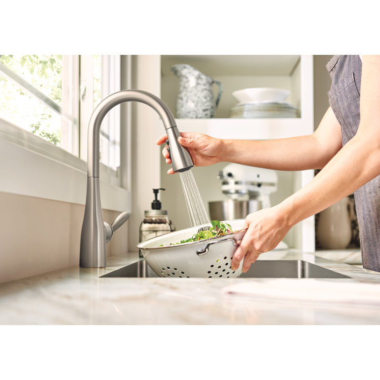 Stainless Steel Pull-Out Spray Kitchen Faucet with Single Handle