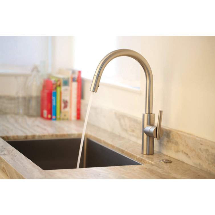 Polished Brass Single Handle Pull-Down Kitchen Faucet