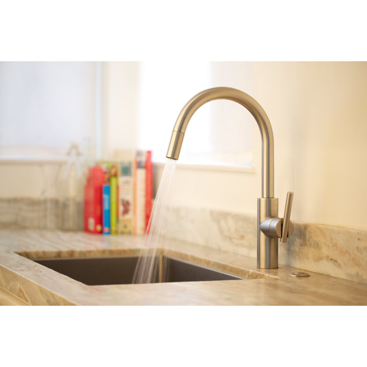 Polished Brass Single Handle Pull-Down Kitchen Faucet