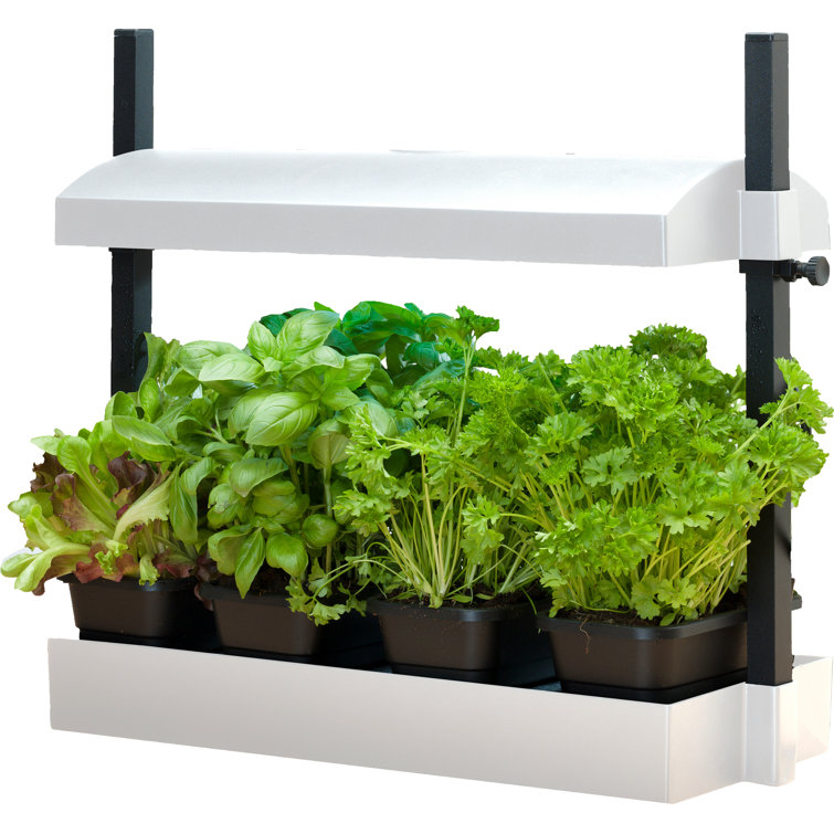 SunBlaster White Micro Grow Light Garden with LED