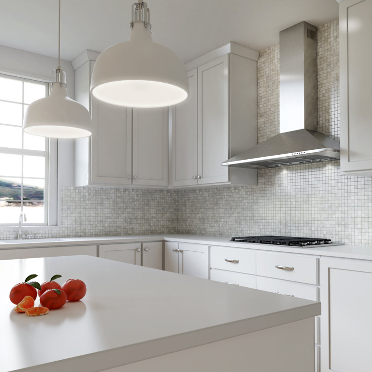 36" Stainless Steel Convertible Wall Mounted Range Hood with Charcoal Filter