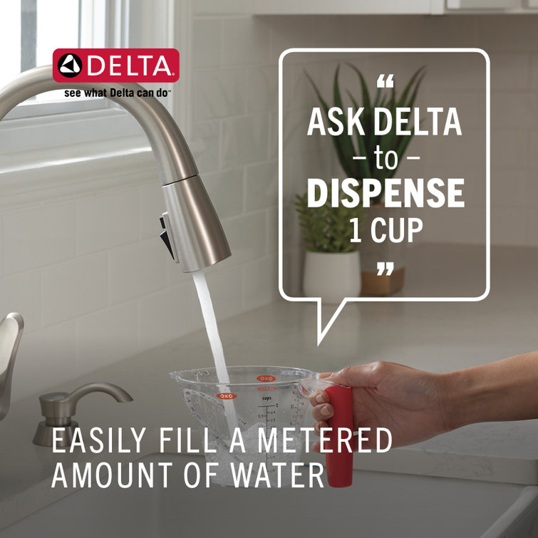 Chrome Pull-Down Kitchen Faucet with Voice Control
