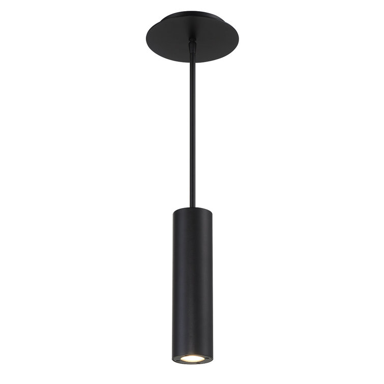 Black LED Indoor/Outdoor Pendant Light