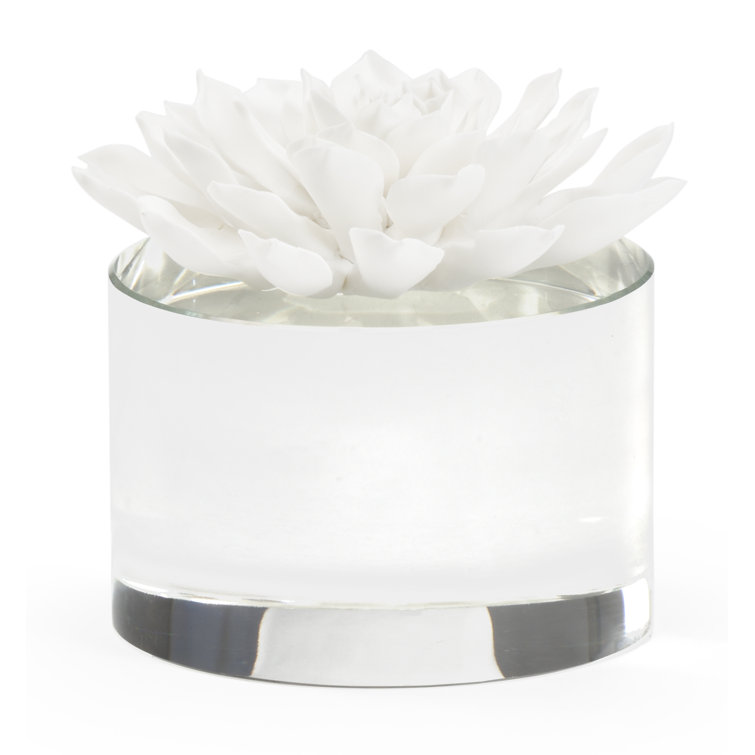 Claire Bell Matte White Porcelain Succulent Sculpture