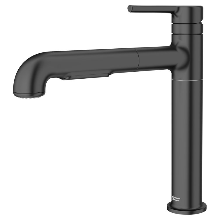 Matte Black Pull-Out Spray Kitchen Faucet
