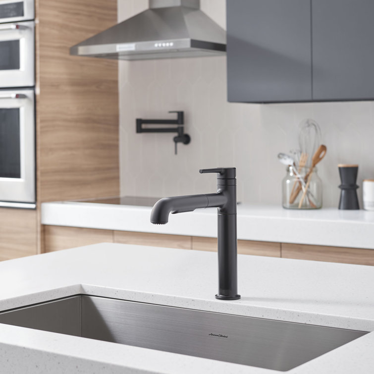 Matte Black Pull-Out Spray Kitchen Faucet