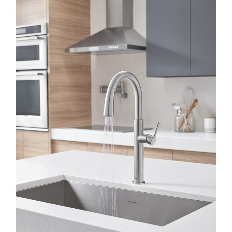 Stainless Steel Pull-Down Kitchen Faucet with Spray