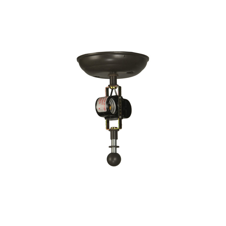 Bronze and Glass Trout Flush Mount Light