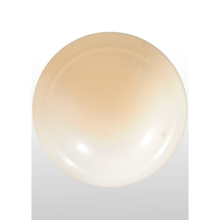 Dallas Cowboys Inspired Brown Globe Indoor/Outdoor Energy Star Light