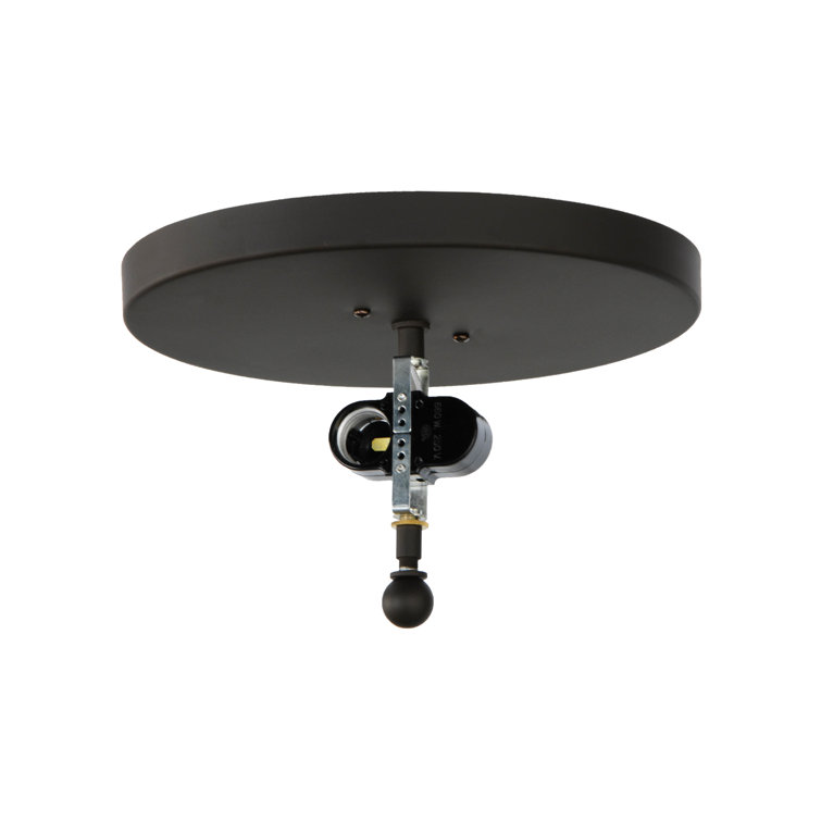 Bronze Glass 2-Light Indoor/Outdoor Flush Mount