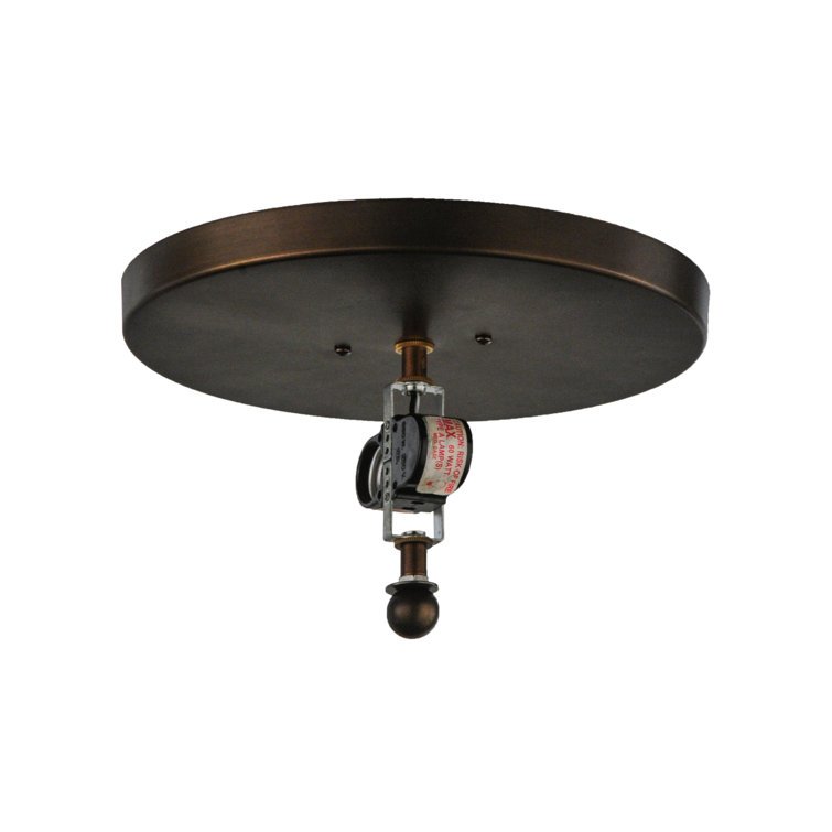 Copper Globe 2-Light Energy Star Indoor/Outdoor Flush Mount