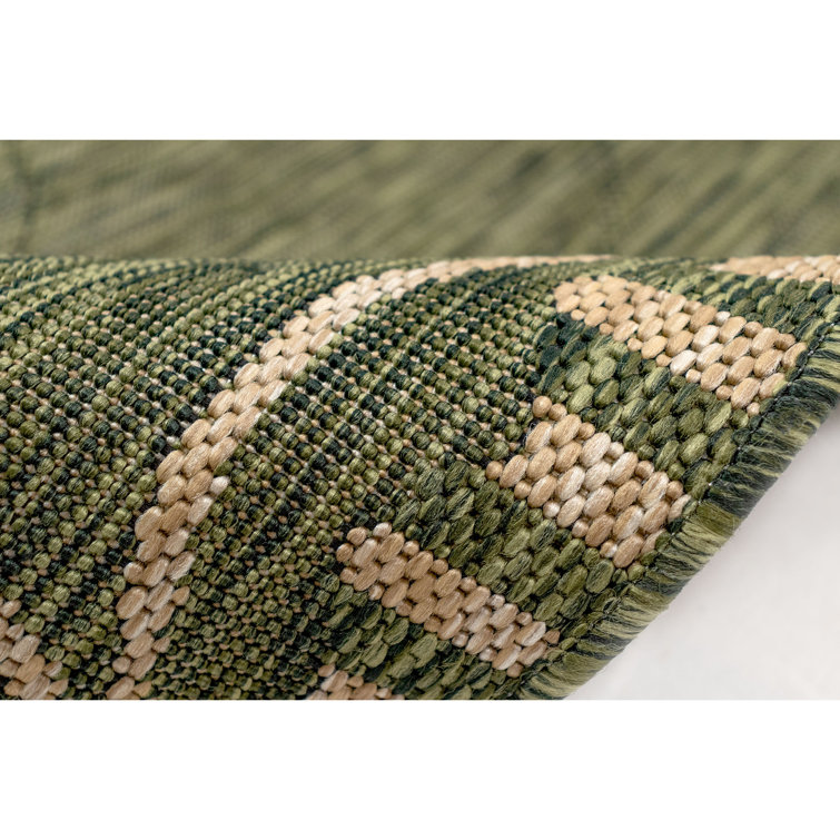 Carmel Dragonfly Green Rectangular Easy-Care Outdoor Rug