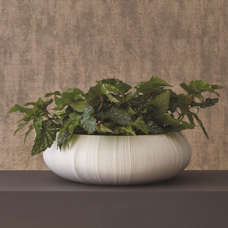 Handcrafted Soft White Porcelain Centerpiece Bowl, 18"