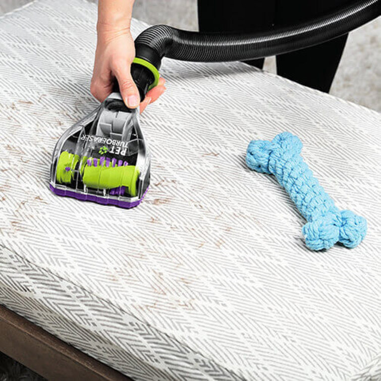 Grapevine Purple and Electric Green Bagless Pet Vacuum Cleaner