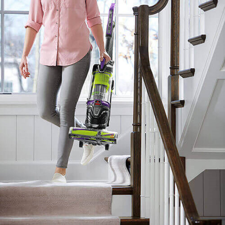 Grapevine Purple and Electric Green Bagless Pet Vacuum Cleaner