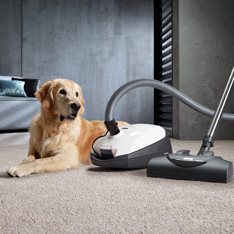Ivory White HEPA Filter Canister Vacuum Cleaner with Adjustable Suction